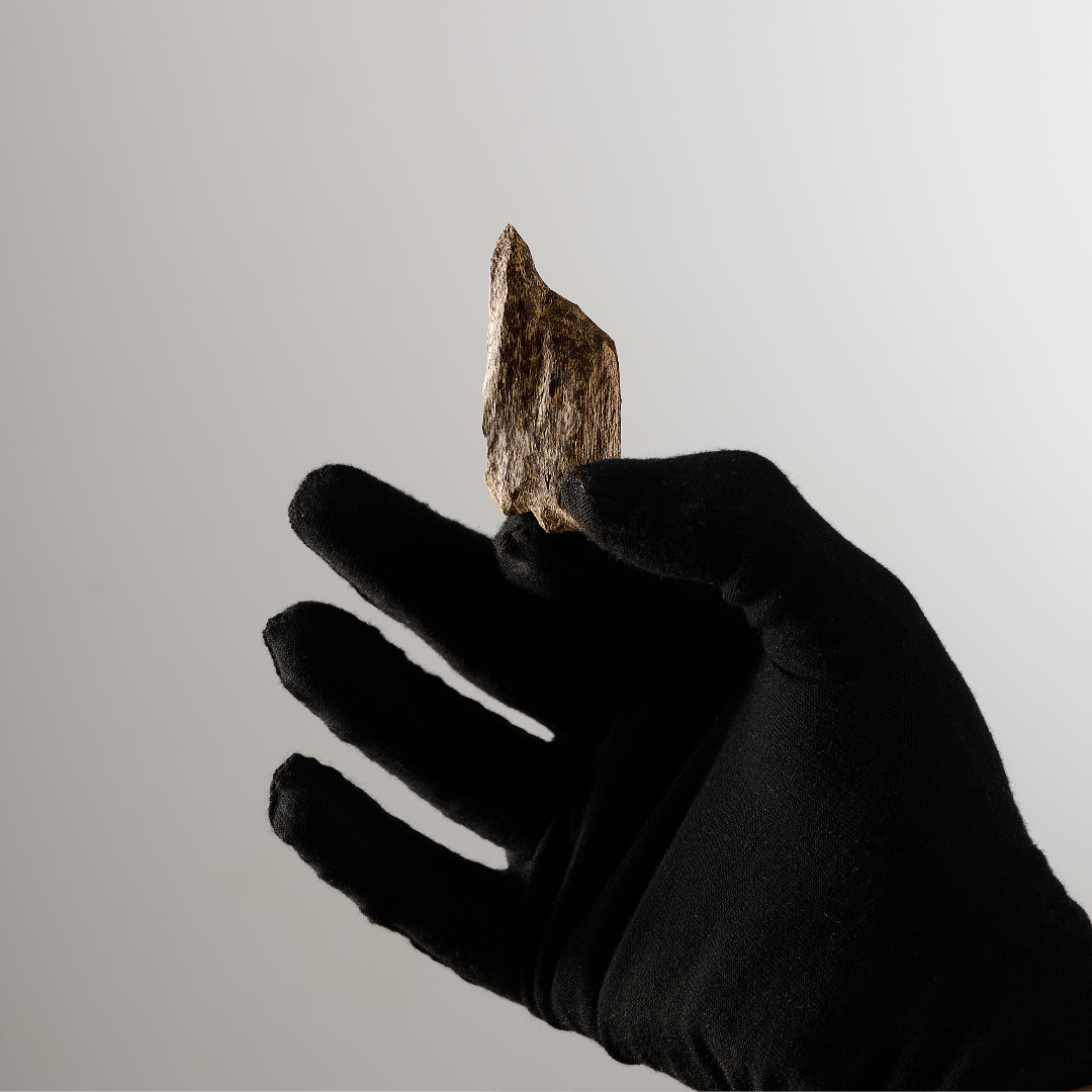 عـود تـراد تـايـلـنـدي فـي اي بـي