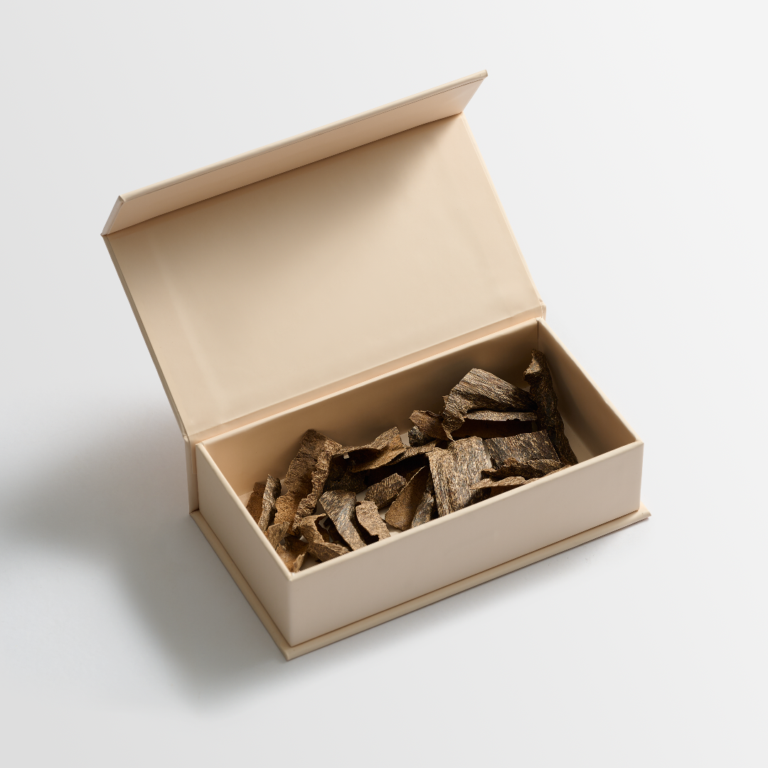 عـود تـراد تـايـلـنـدي فـي اي بـي